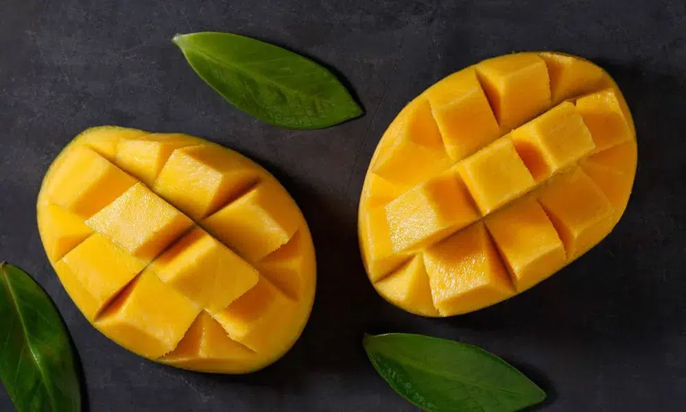 ILIA哩亞五代煙彈