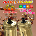 Bang E-Shisha 42000 Puffs 拋棄式