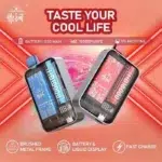 喜貝拋棄式電子煙-2